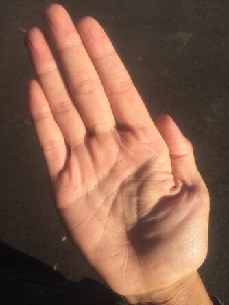 tenyér, jóslás, pixabay, illusztráció, strowberrycake