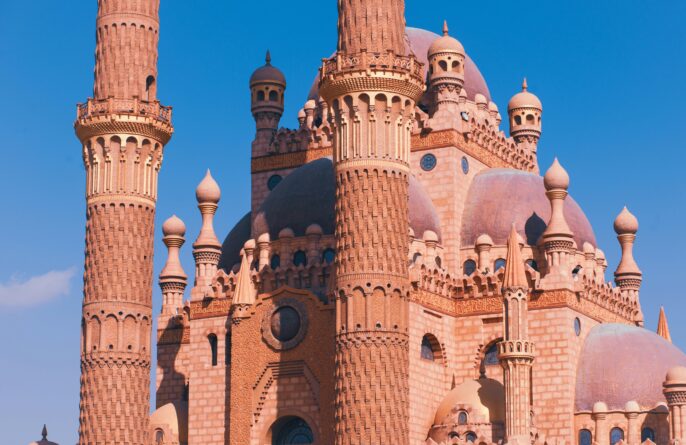 pexels lich 20272069