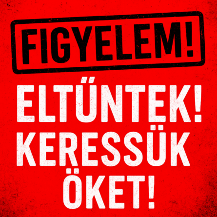 eltűnt lányok, keresi őket a rendőrség is, a kép illusztráció, hirmagazin.eu