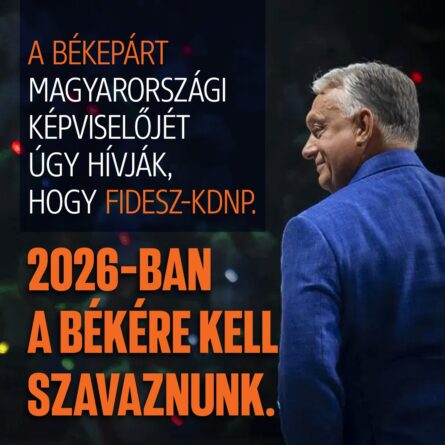 600377284 1446572346829309 5842334805883074466 n