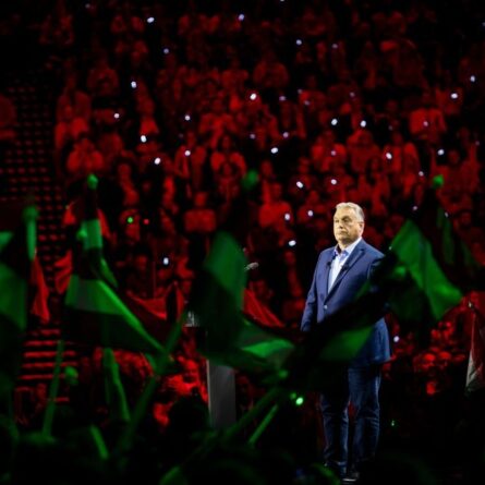 600953086 1446557313497479 5572299325886272228 n