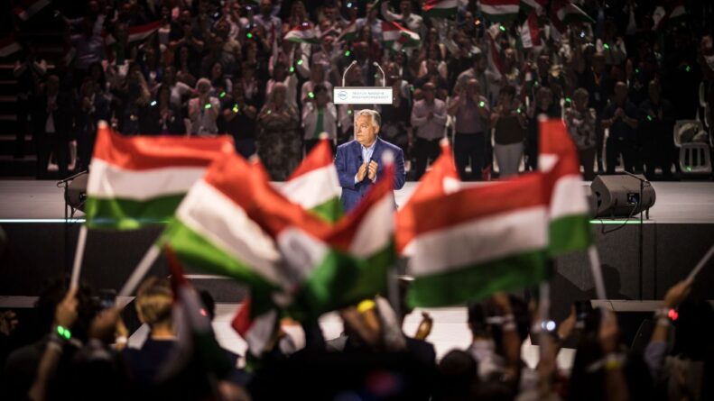 601950103 1446543883498822 1009764105085886196 n